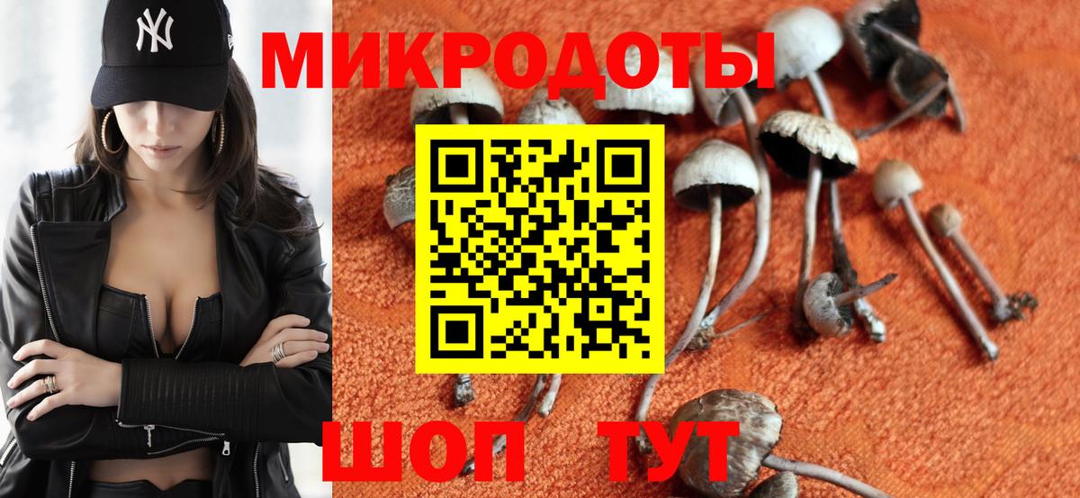 Рузаевка  Псилоцибиновые грибы MAGIC MUSHROOMS  Вход с VPN 